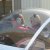 Le pilote